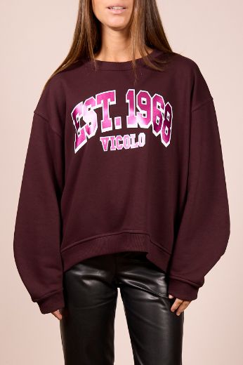 Immagine di FELPA EST. 1968 - Disponibile in NERO, BORDEAUX